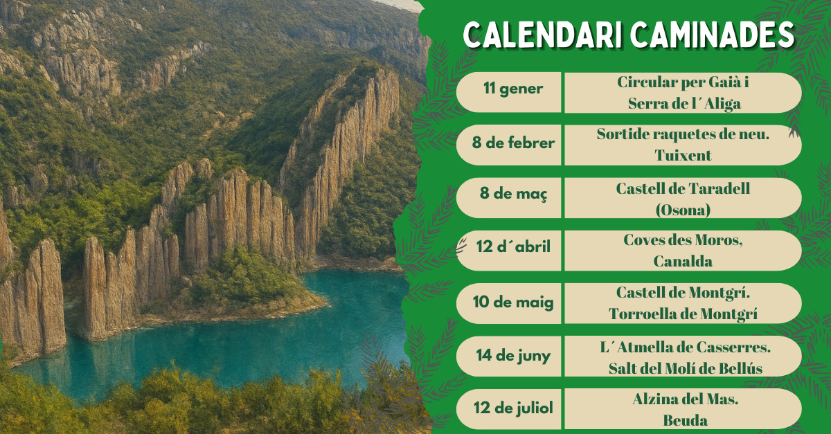 calendar (1)