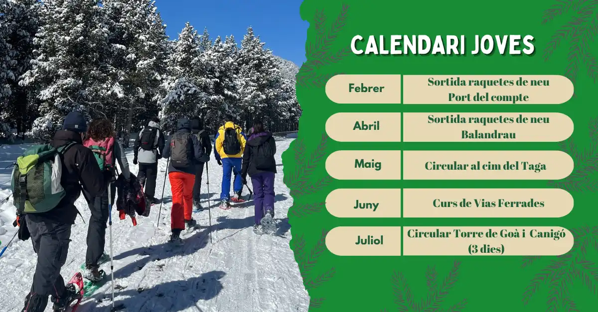 calendari joves